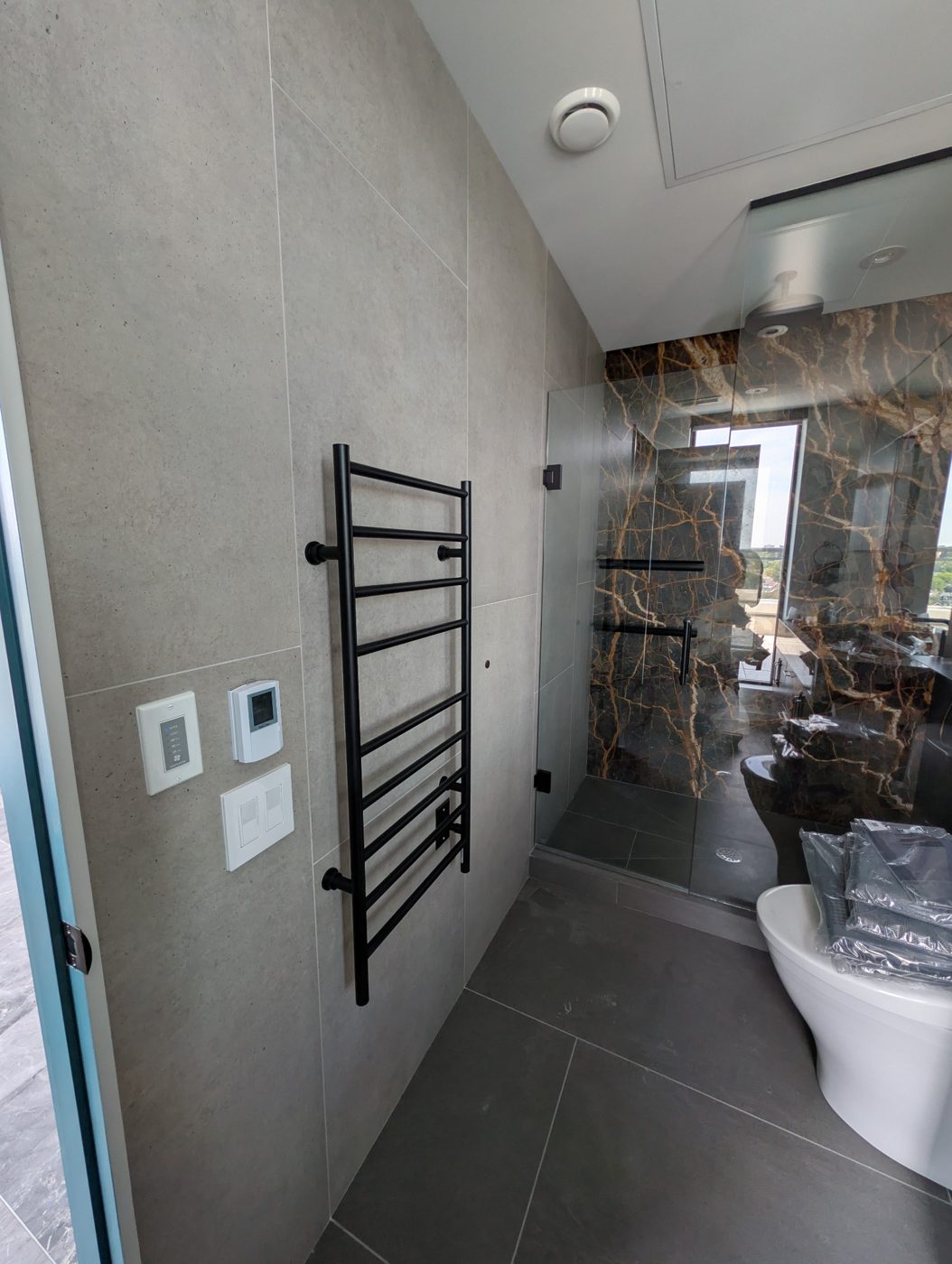 Bathroom Controls & Electrical